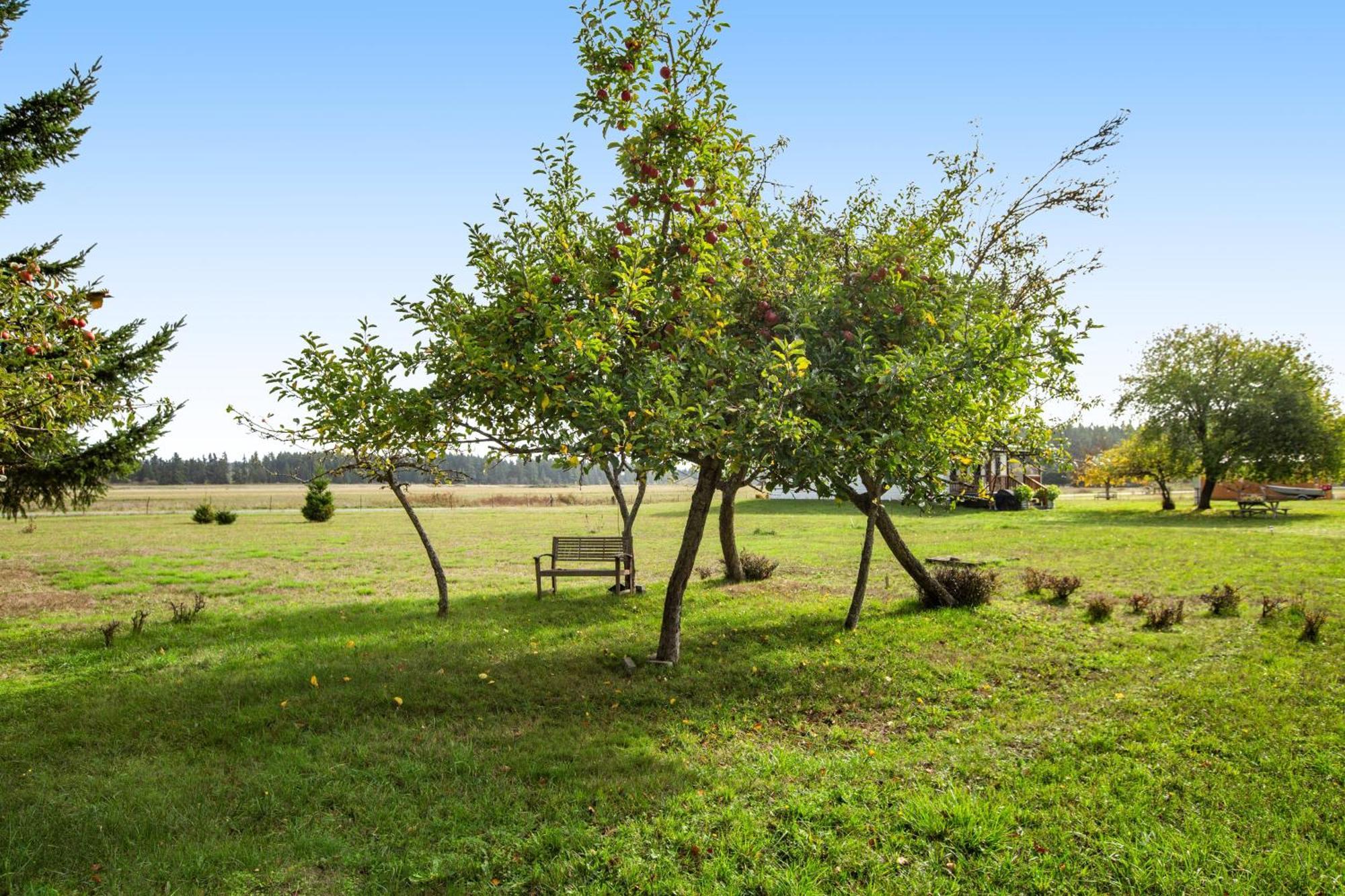 Historic Officer'S Farmhouse At Olf Coupeville Exterior foto